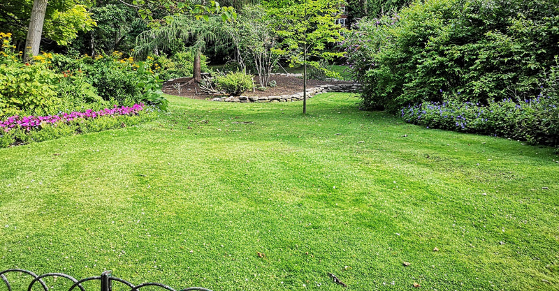 Soaker Hose for Vegetable Garden