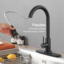 Lefree Kitchen Faucets with Pull Down Sprayer Single Handle Sink Faucet Silver